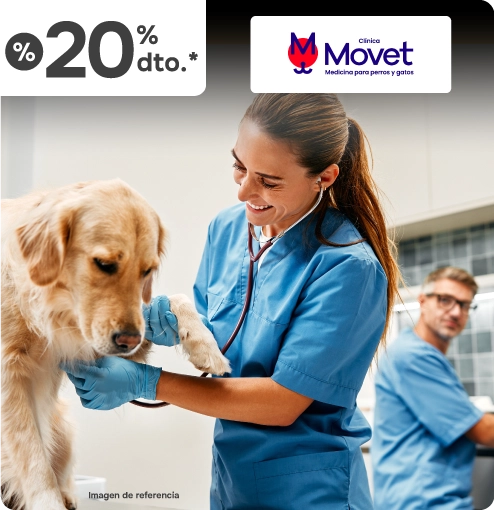 Alianza Movet Servicios 